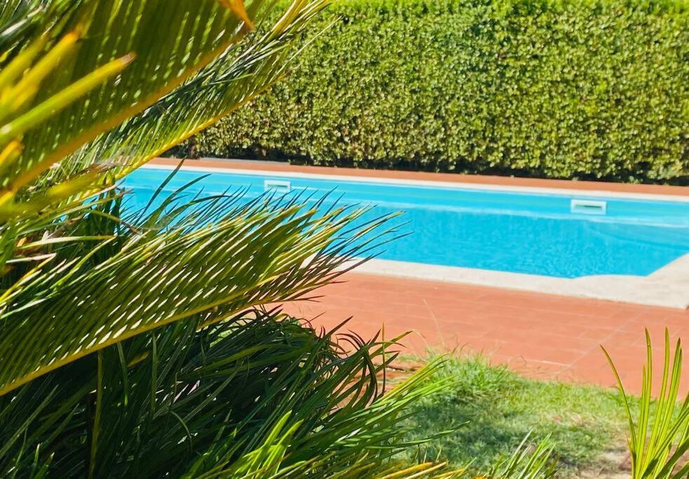 Apartmán Casa Belmoro Con Piscina Pescia Exteriér fotografie