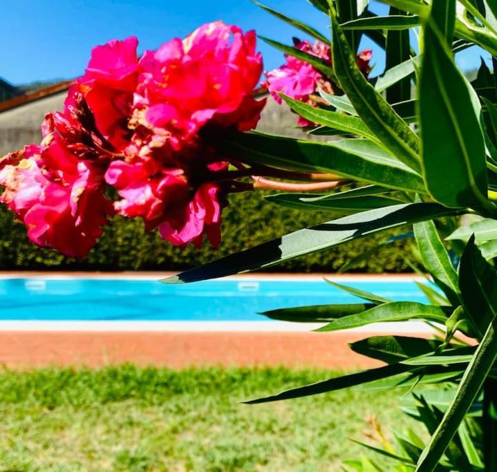 Apartmán Casa Belmoro Con Piscina Pescia Exteriér fotografie